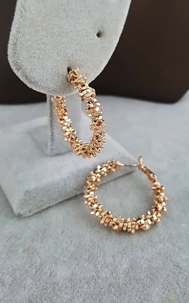 Everglow Jewelry Steel Hoop Larg Earrings